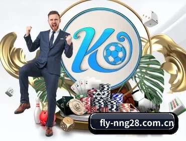 fly-nng28.com.cn APP